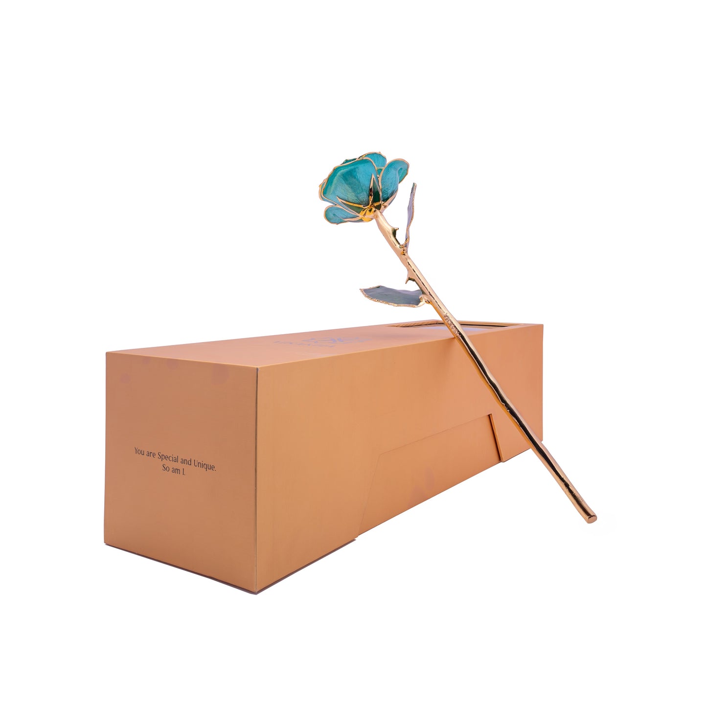 Marivelle, 24K Gold Dipped Natural Rose in Turquoise – The Serenity of Oceanic Grace