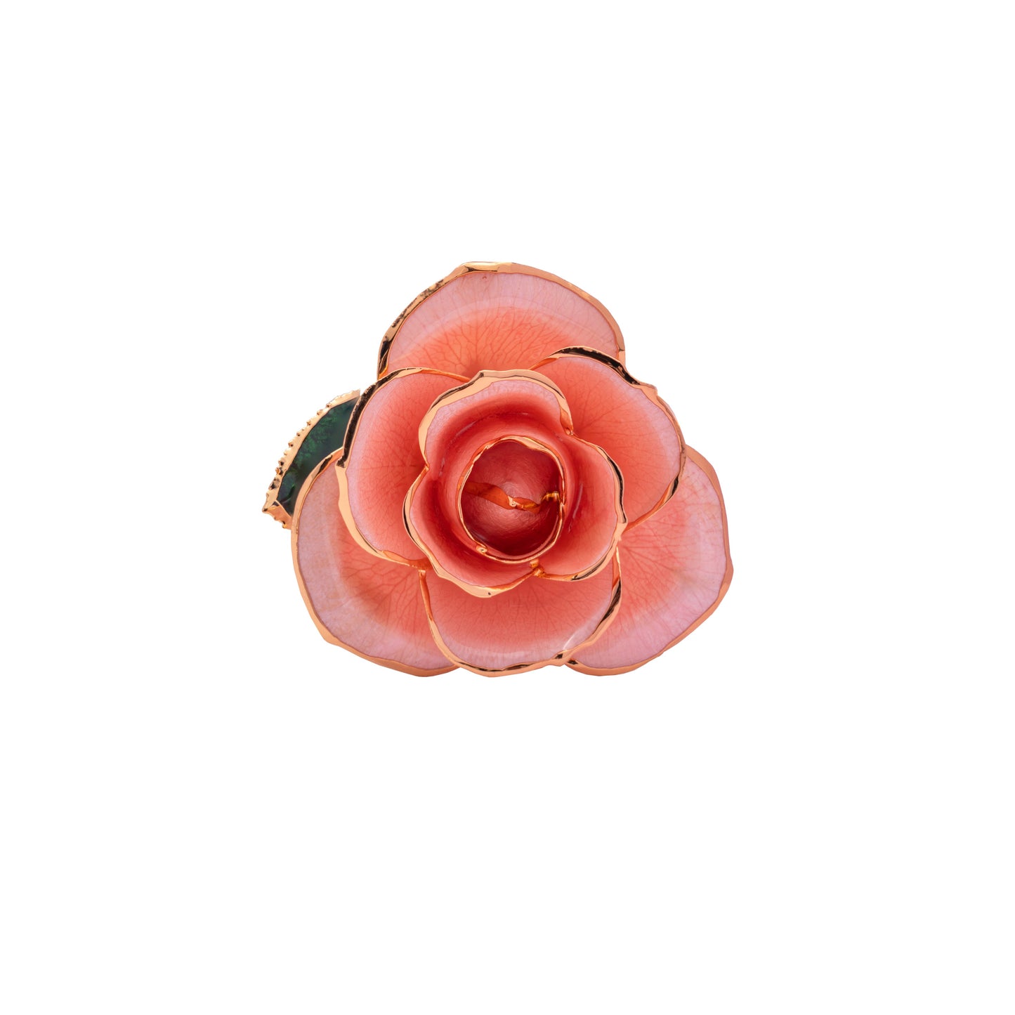 Roselle, 24K Gold Dipped Natural Rose in Pastel – Soft Romance and Rare as True Love