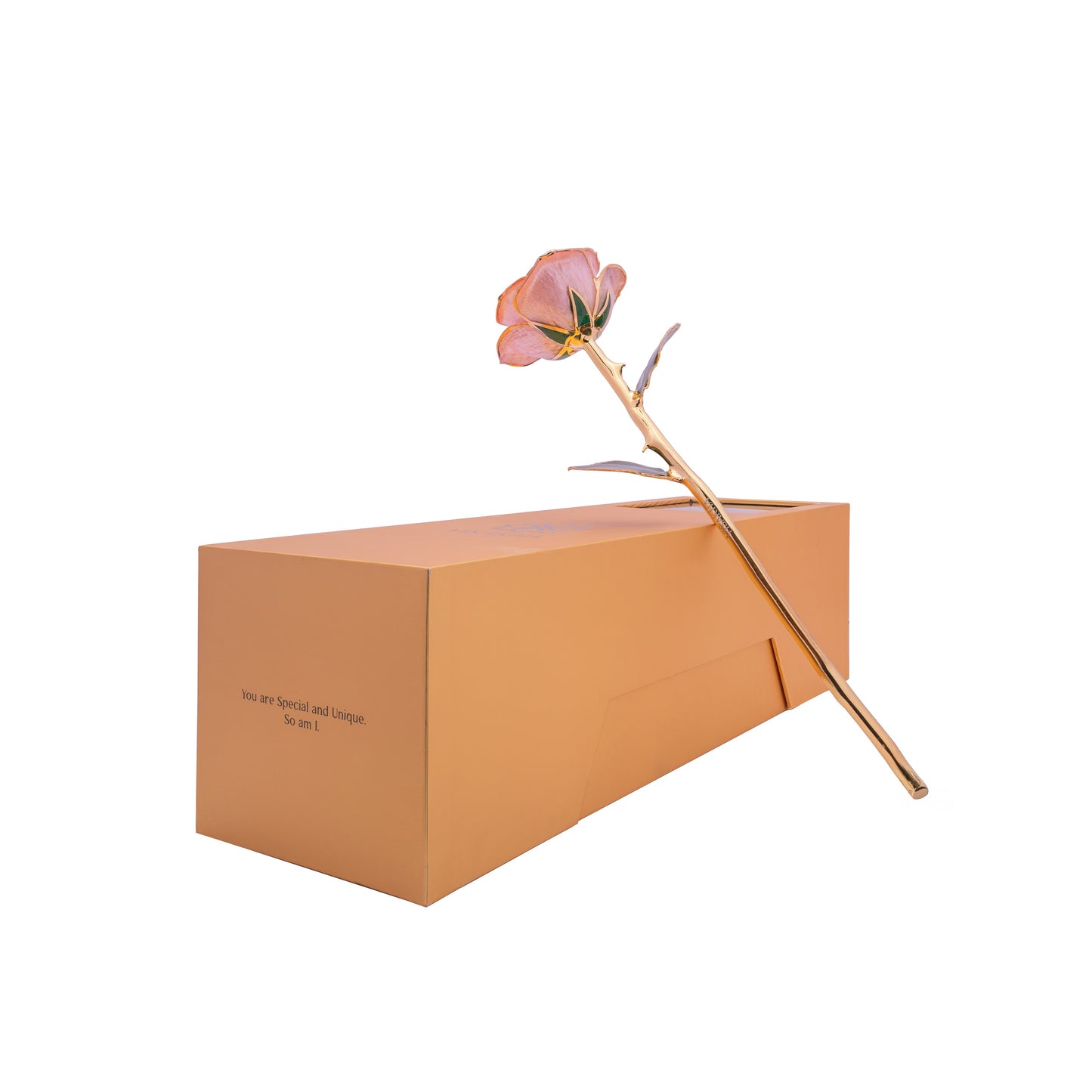 Roselle, 24K Gold Dipped Natural Rose in Pastel – Soft Romance and Rare as True Love
