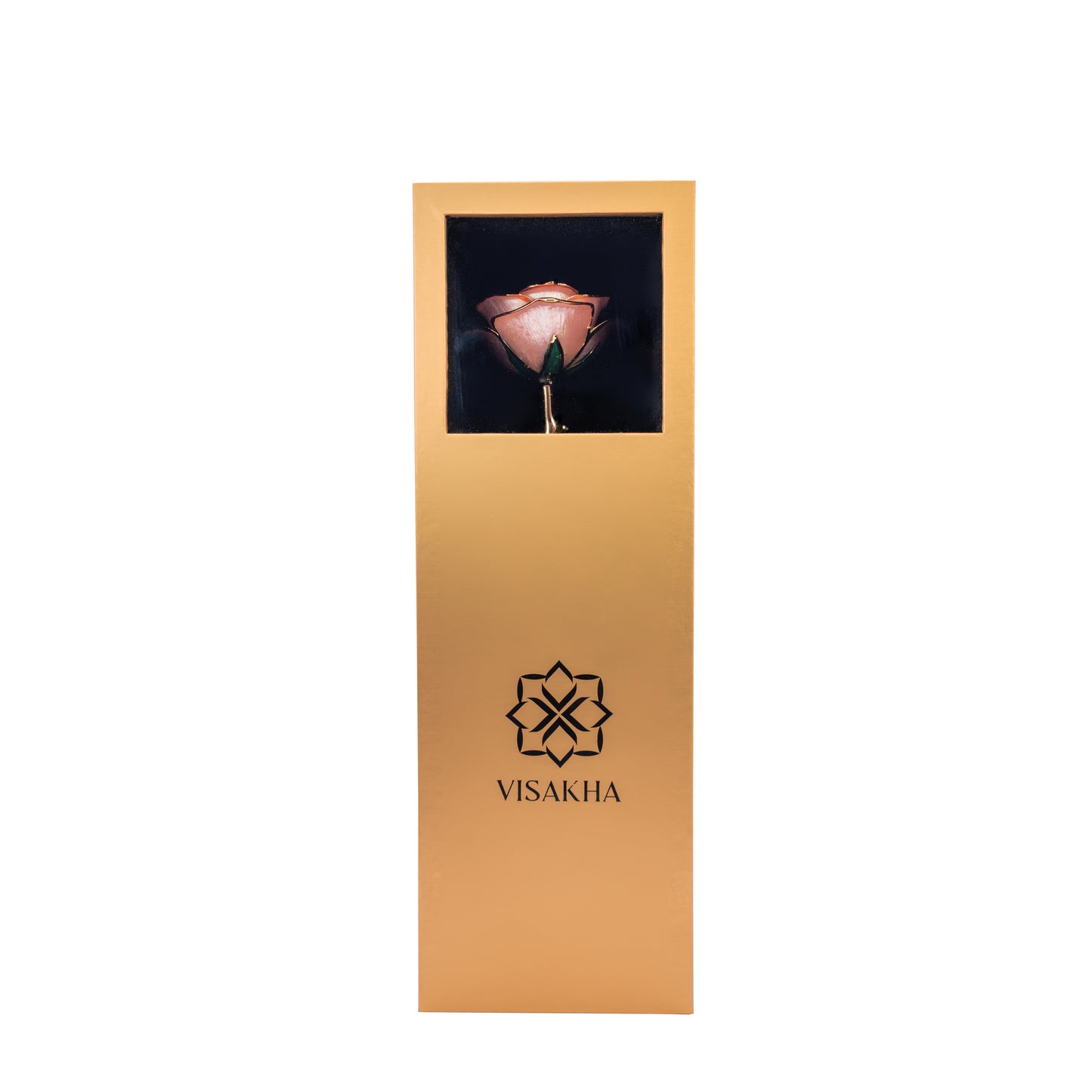 Roselle, 24K Gold Dipped Natural Rose in Pastel – Soft Romance and Rare as True Love