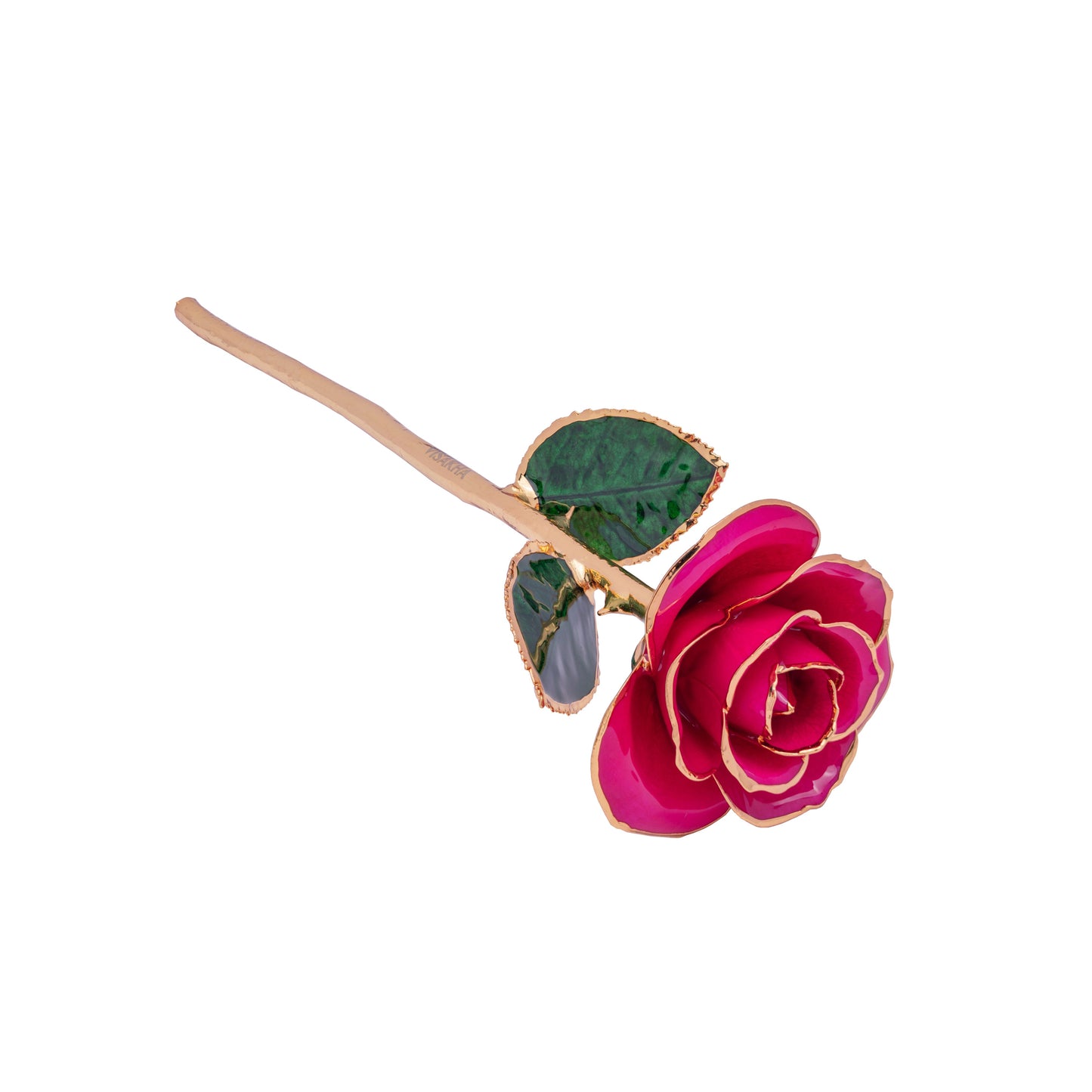 Divina, 24K Gold Dipped Natural Rose in Deep Pink – The Rose of Divine Prosperity