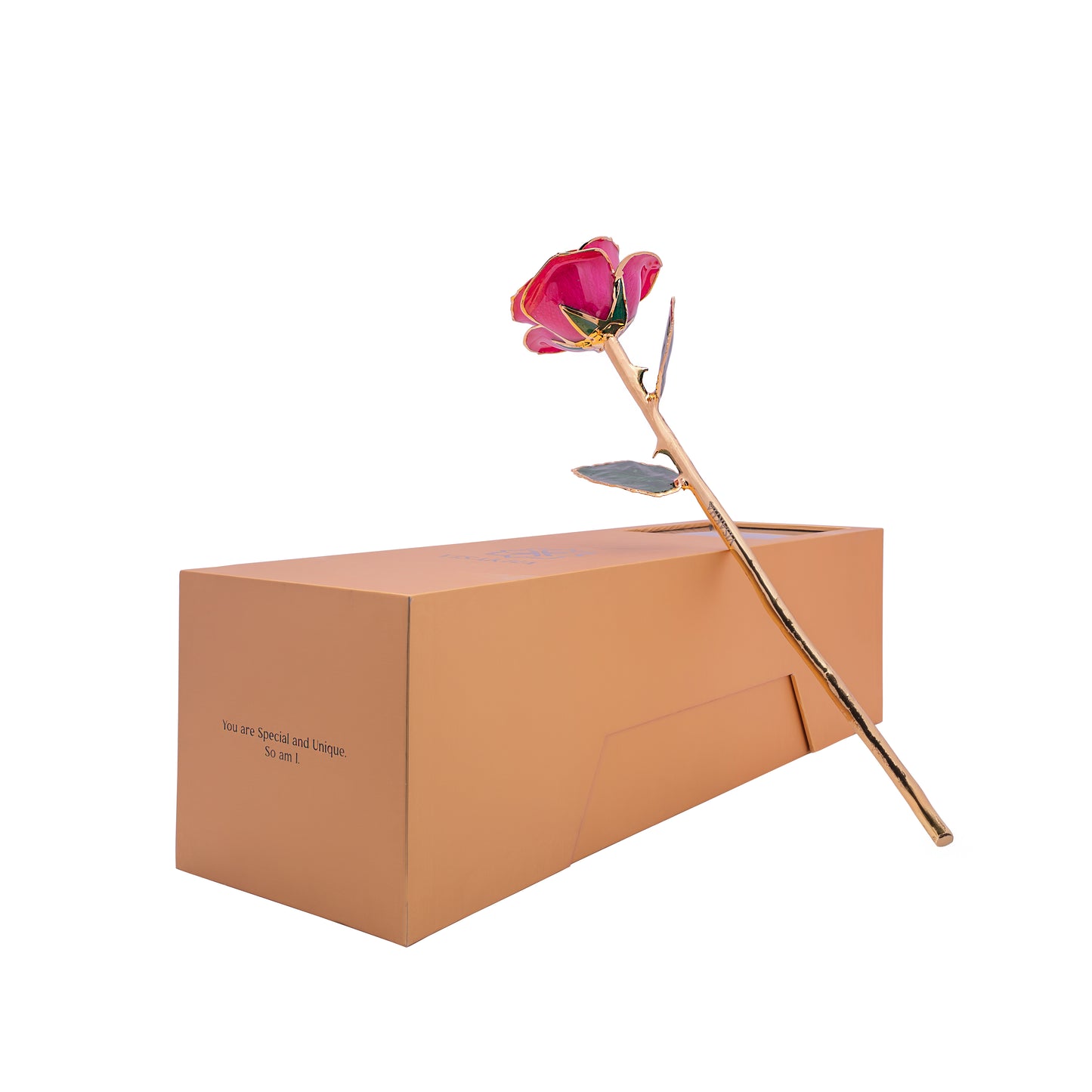 Divina, 24K Gold Dipped Natural Rose in Deep Pink – The Rose of Divine Prosperity