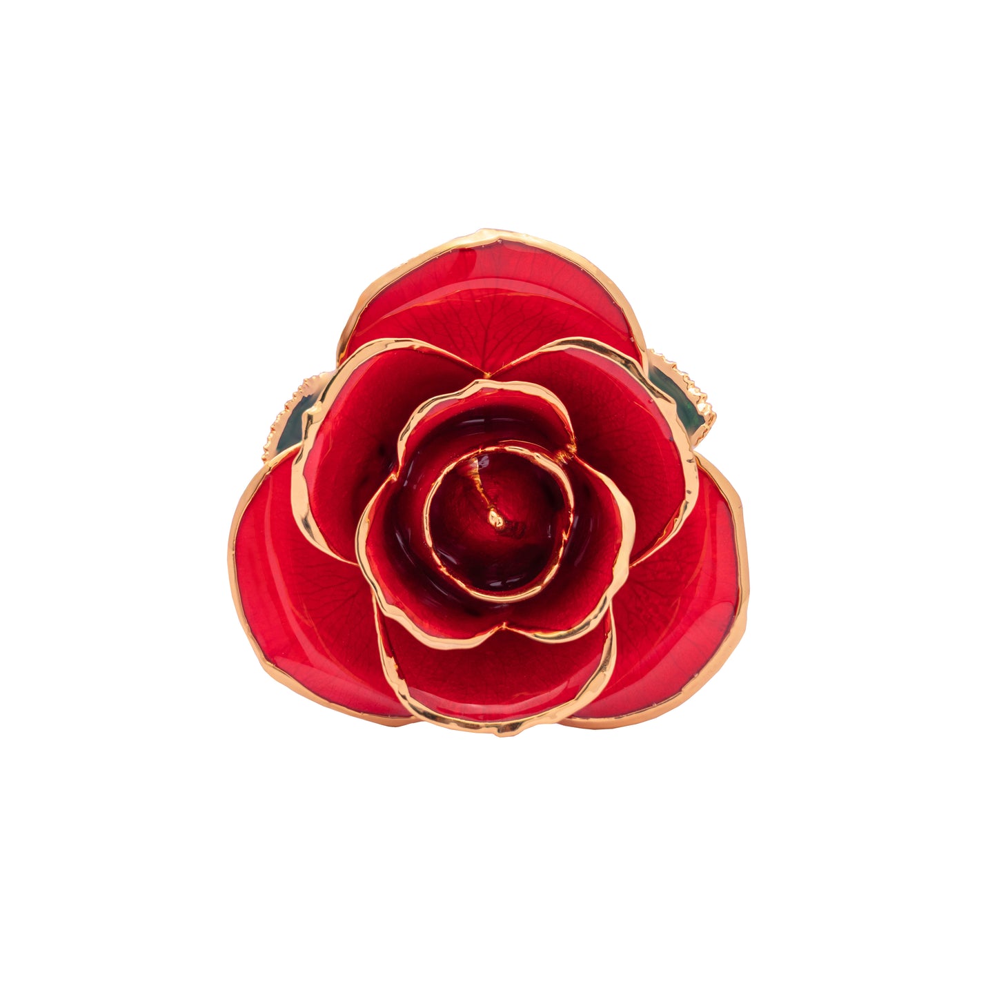 Crimsona, 24K Gold Dipped Natural Rose in Red – The Heartbeat of Forever