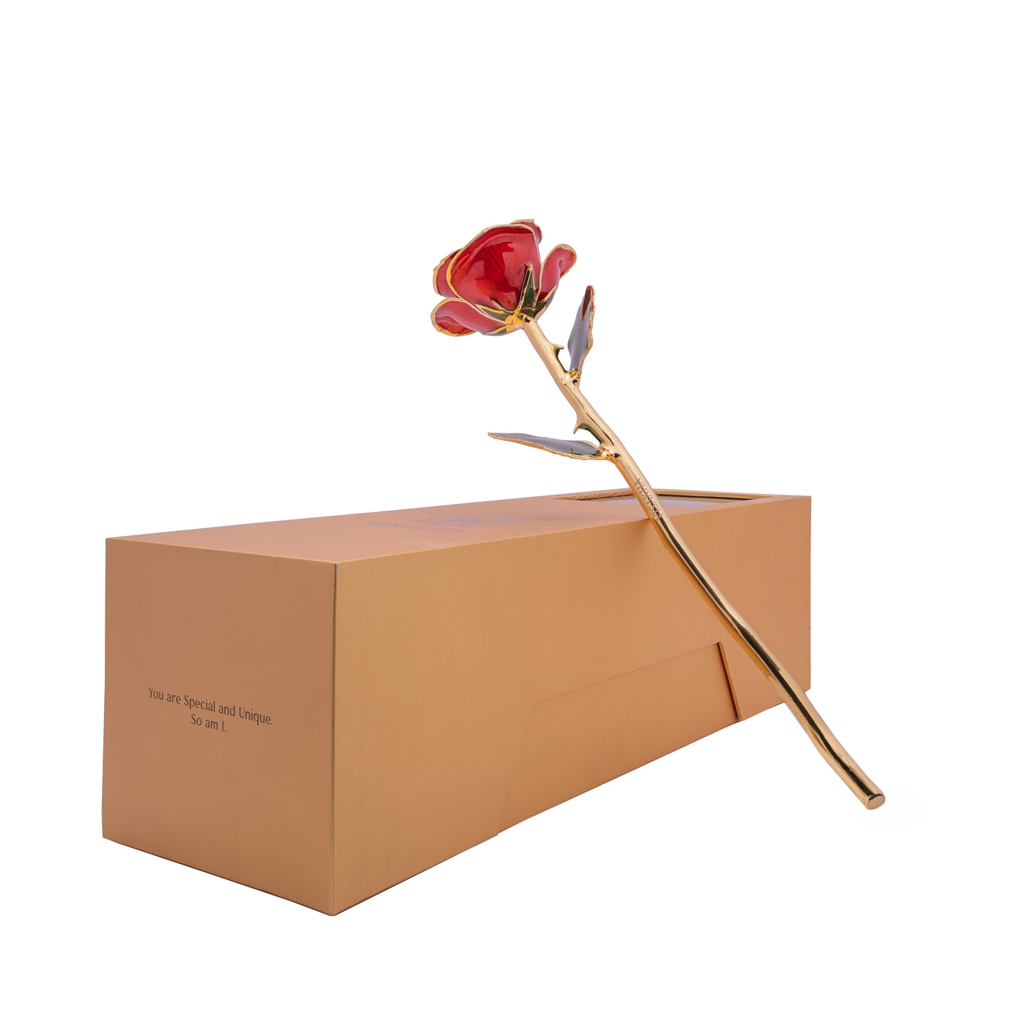 Crimsona, 24K Gold Dipped Natural Rose in Red – The Heartbeat of Forever