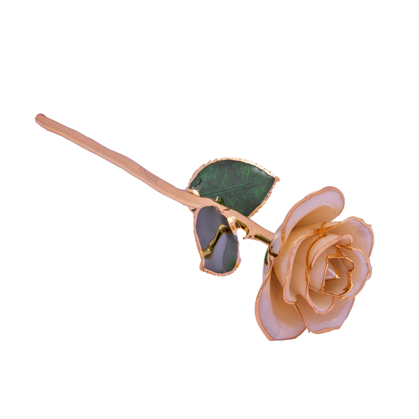 Univia, 24K Gold Dipped Natural Rose in Champaign - Unity in Purity, Serenity in Elegance
