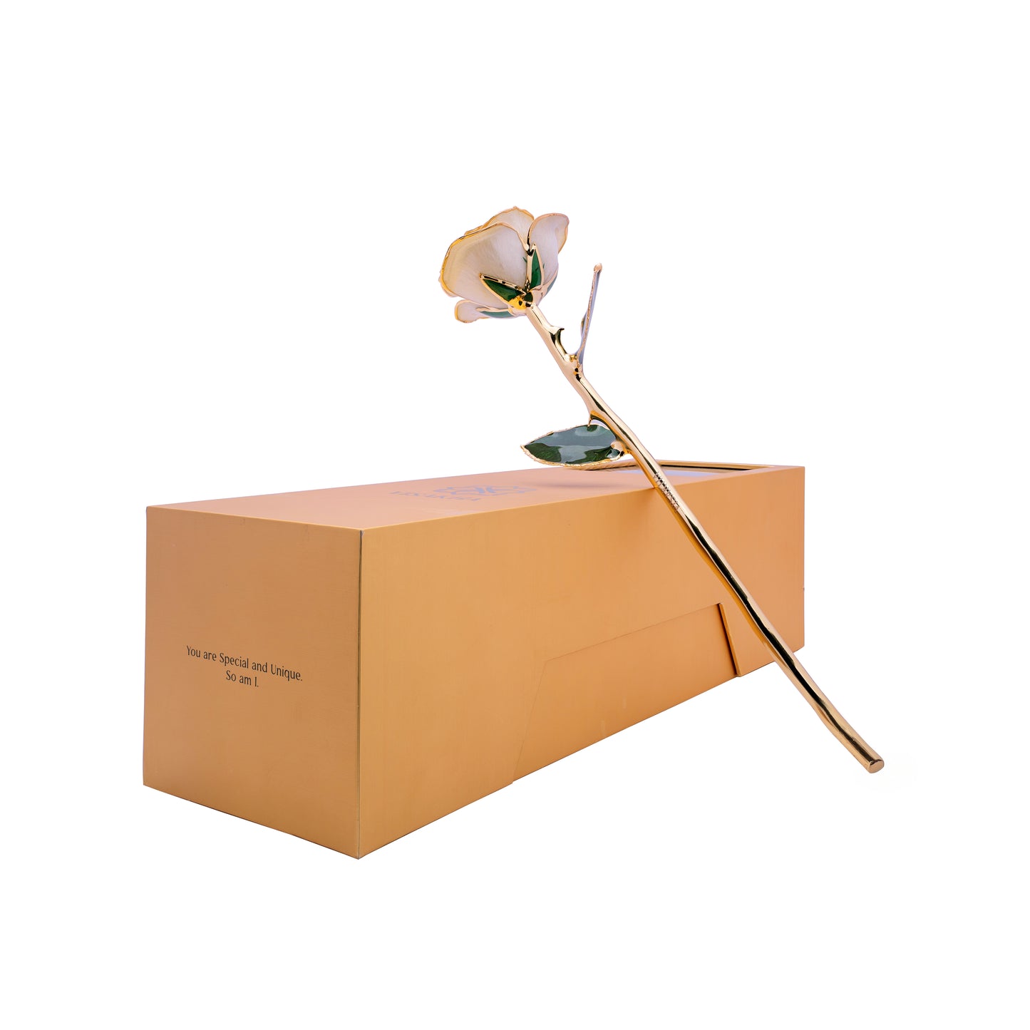 Univia, 24K Gold Dipped Natural Rose in Champaign - Unity in Purity, Serenity in Elegance