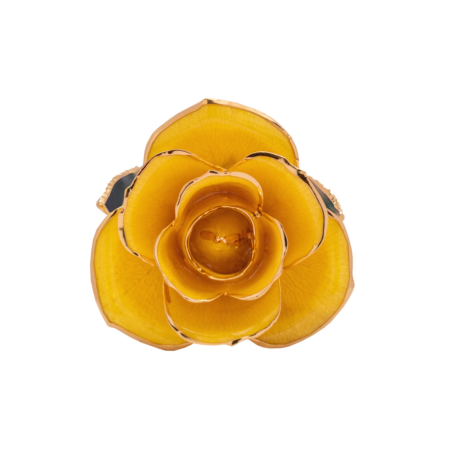 Luma, 24K Gold Dipped Natural Rose in Yellow - The Golden Glow of New Beginnings