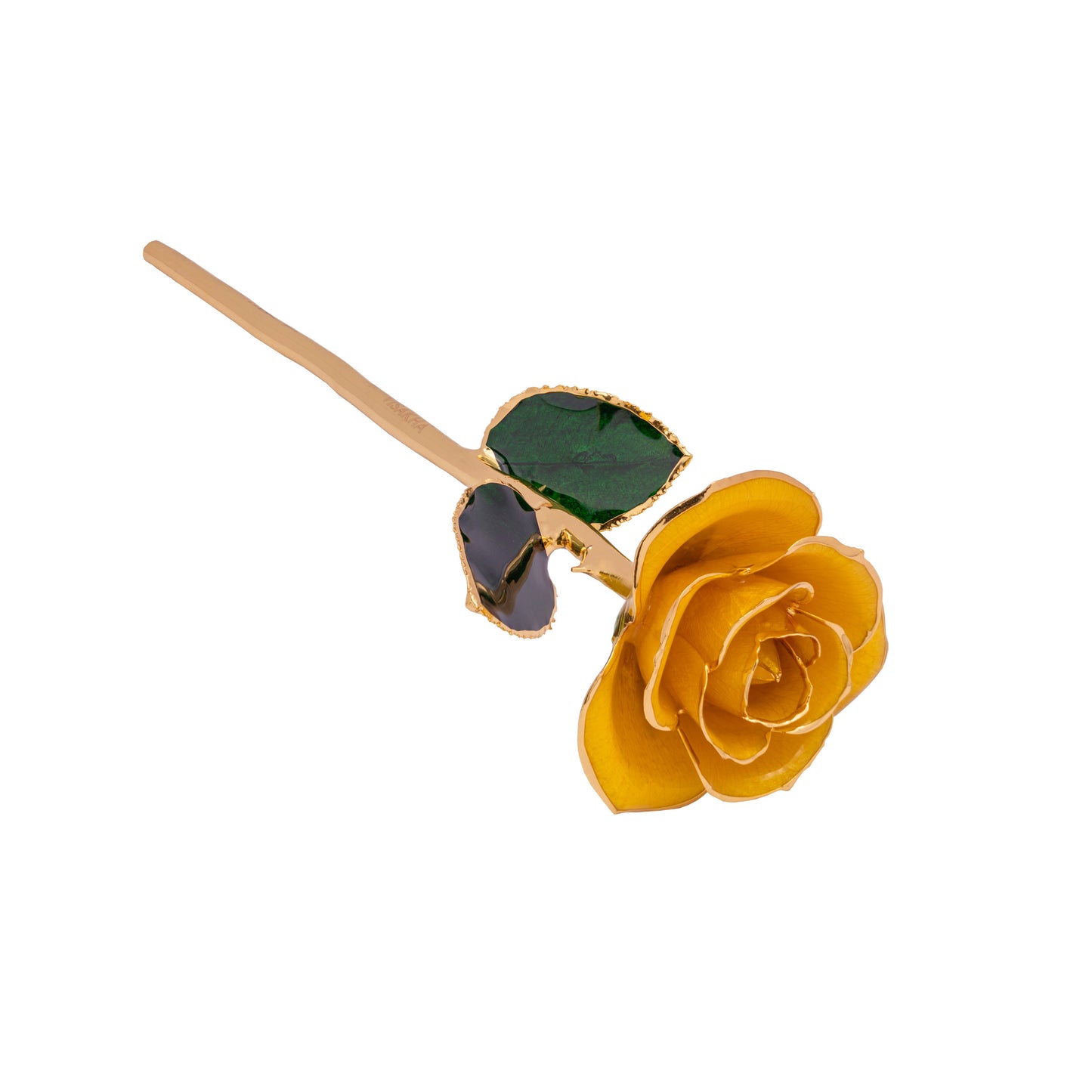 Luma, 24K Gold Dipped Natural Rose in Yellow - The Golden Glow of New Beginnings