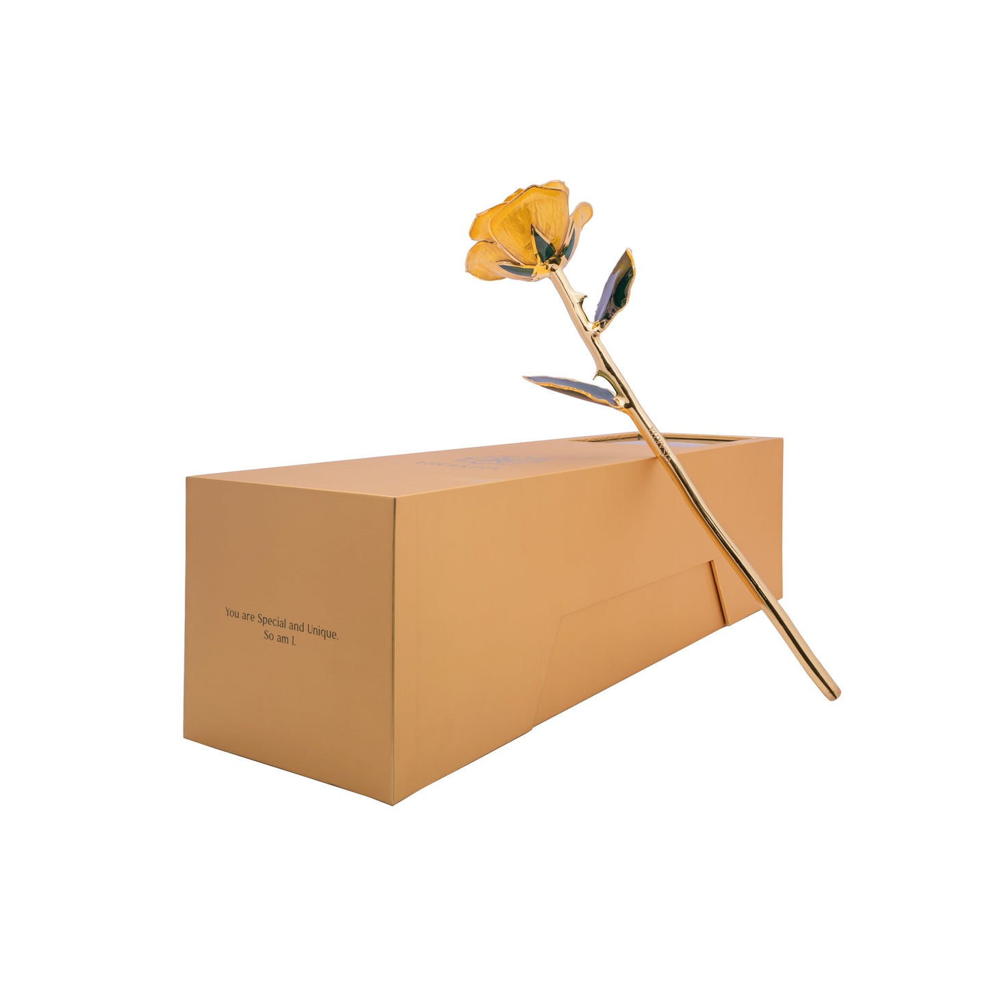 Luma, 24K Gold Dipped Natural Rose in Yellow - The Golden Glow of New Beginnings