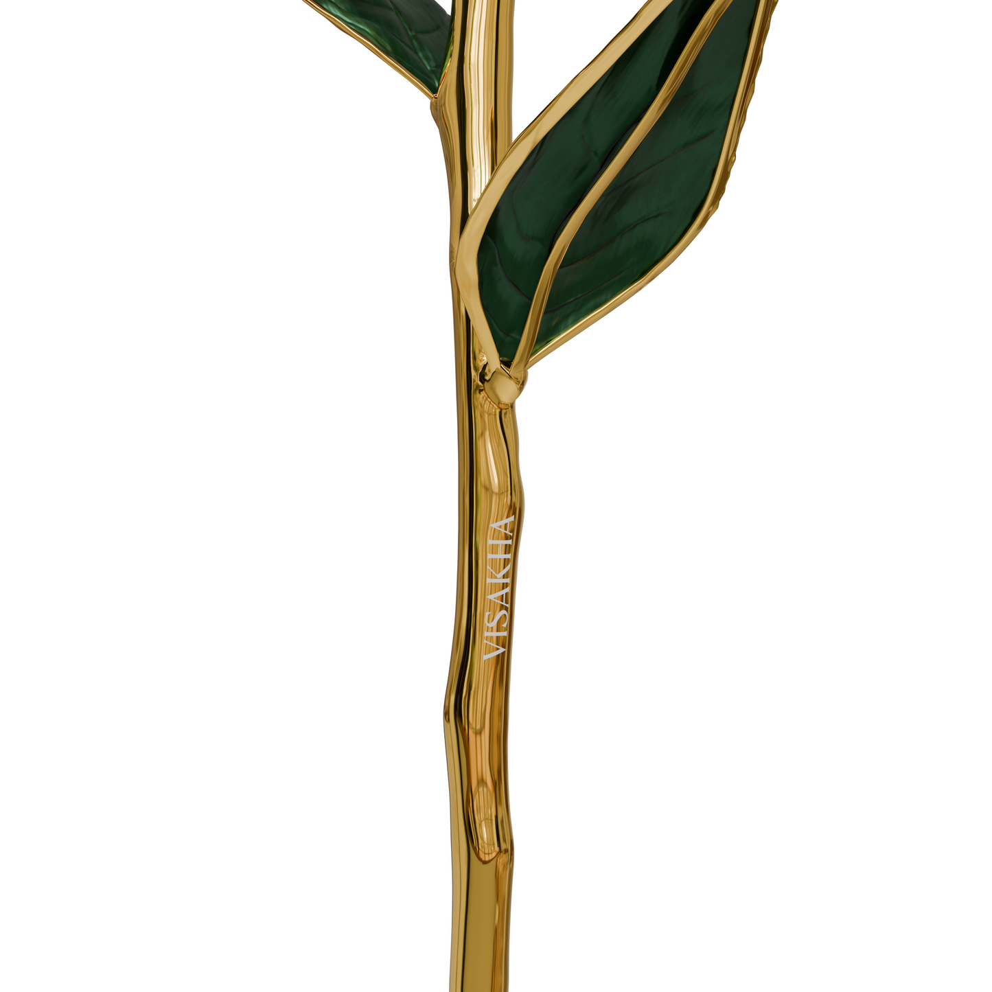Marivelle, 24K Gold Dipped Natural Rose in Turquoise – The Serenity of Oceanic Grace