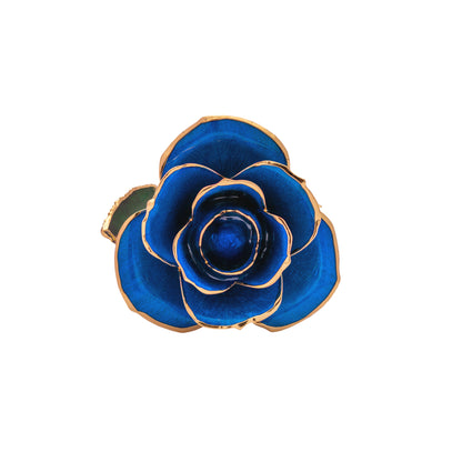 Sapphira, 24K Gold Dipped Natural Rose in Saphhire – The Jewel of Infinite Depth