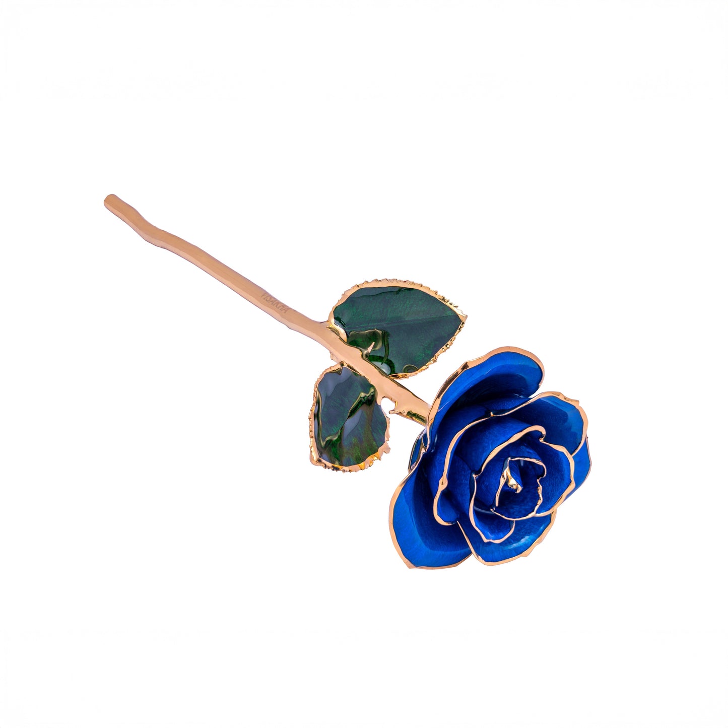 Sapphira, 24K Gold Dipped Natural Rose in Saphhire – The Jewel of Infinite Depth