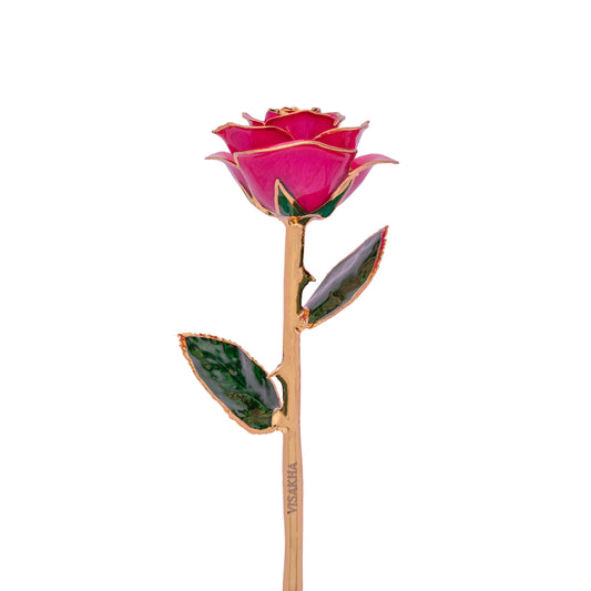 Divina, 24K Gold Dipped Natural Rose in Deep Pink – The Rose of Divine Prosperity