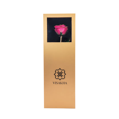 Divina, 24K Gold Dipped Natural Rose in Deep Pink – The Rose of Divine Prosperity