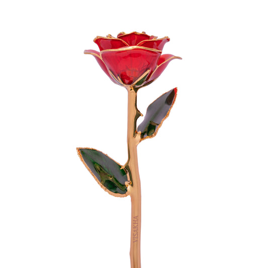 Crimsona, 24K Gold Dipped Natural Rose in Red  – The Heartbeat of Forever