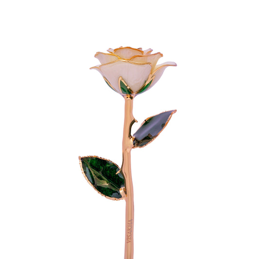 Univia, 24K Gold Dipped Natural Rose in Champaign - Unity in Purity, Serenity in Elegance