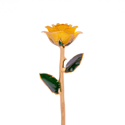 Luma, 24K Gold Dipped Natural Rose in Yellow - The Golden Glow of New Beginnings