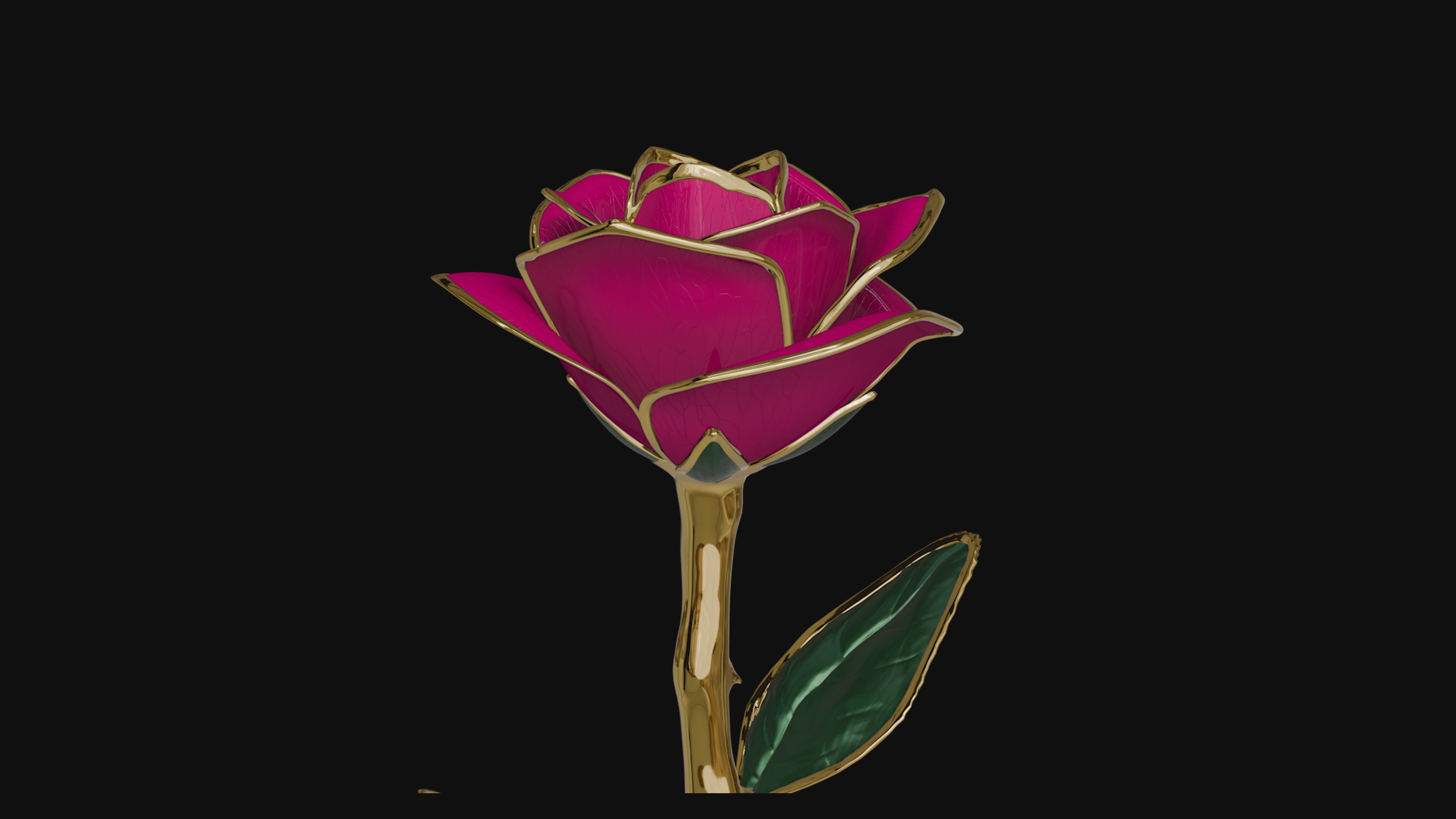 Divina, 24K Gold Dipped Natural Rose in Deep Pink – The Rose of