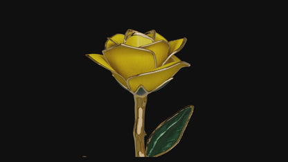Luma, 24K Gold Dipped Natural Rose in Yellow - The Golden Glow of New Beginnings